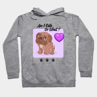 Pug Puppy / Am I Cute Or What / Pug Design Hoodie